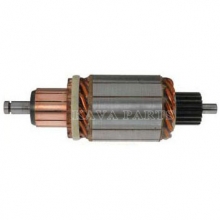 Armature For Nissan - Europe,Steyr,Volkswagen,9003334026 9003334029 9003334033 9003334034 - Armature
